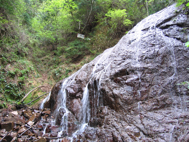 山のフォトギャラリー 六甲西山谷ソーメン滝